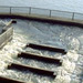 a fish ladder