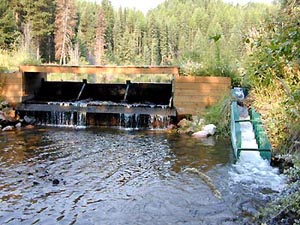 a fish ladder