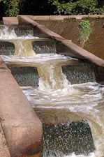 a fish ladder