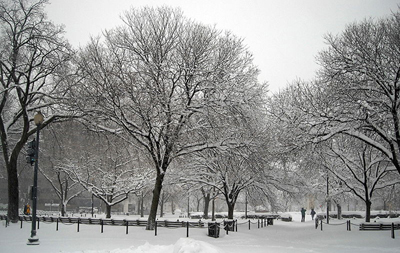 a snowy landscape