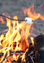 a marshmallow being toasted over a campfire. 