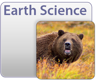 Earth Science: Earth's Natural Resources... a grizzly bear.