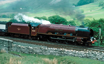A train moving through a countryside