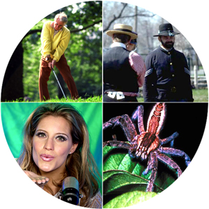 spider, elderly man playing golf, a nightclub singer, Civil War actors