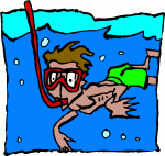 swim