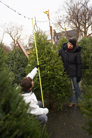 Two students measure the height of a Christmas tree