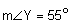 The measure of angle Y equals 55 degrees