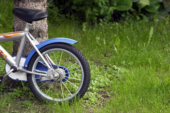 Bicycle Wheel