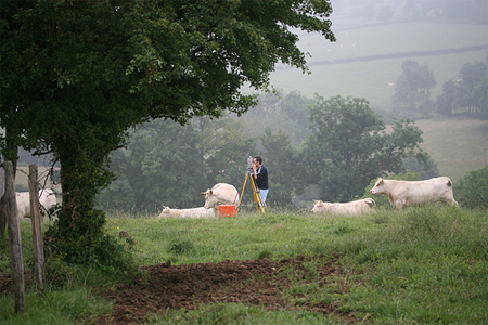 Image of Surveyor