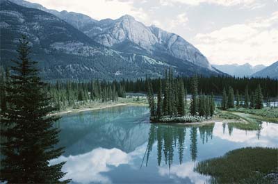 Trees and Mountains reflecting on a lake