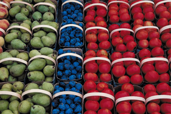 various colored fruits lined up