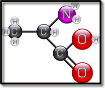 protein chemical configuration