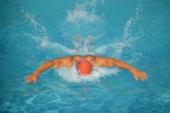 Swimmer