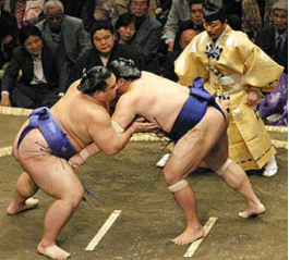 Sumo wrestling