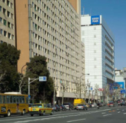 Tokyo Public Housing