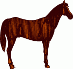 Horse