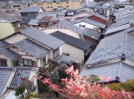 Houses in Miyajima