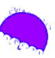 umbrella