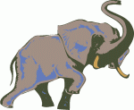 Elephants