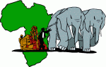 elephants