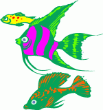 fishes