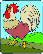 rooster