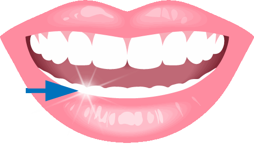 Teeth