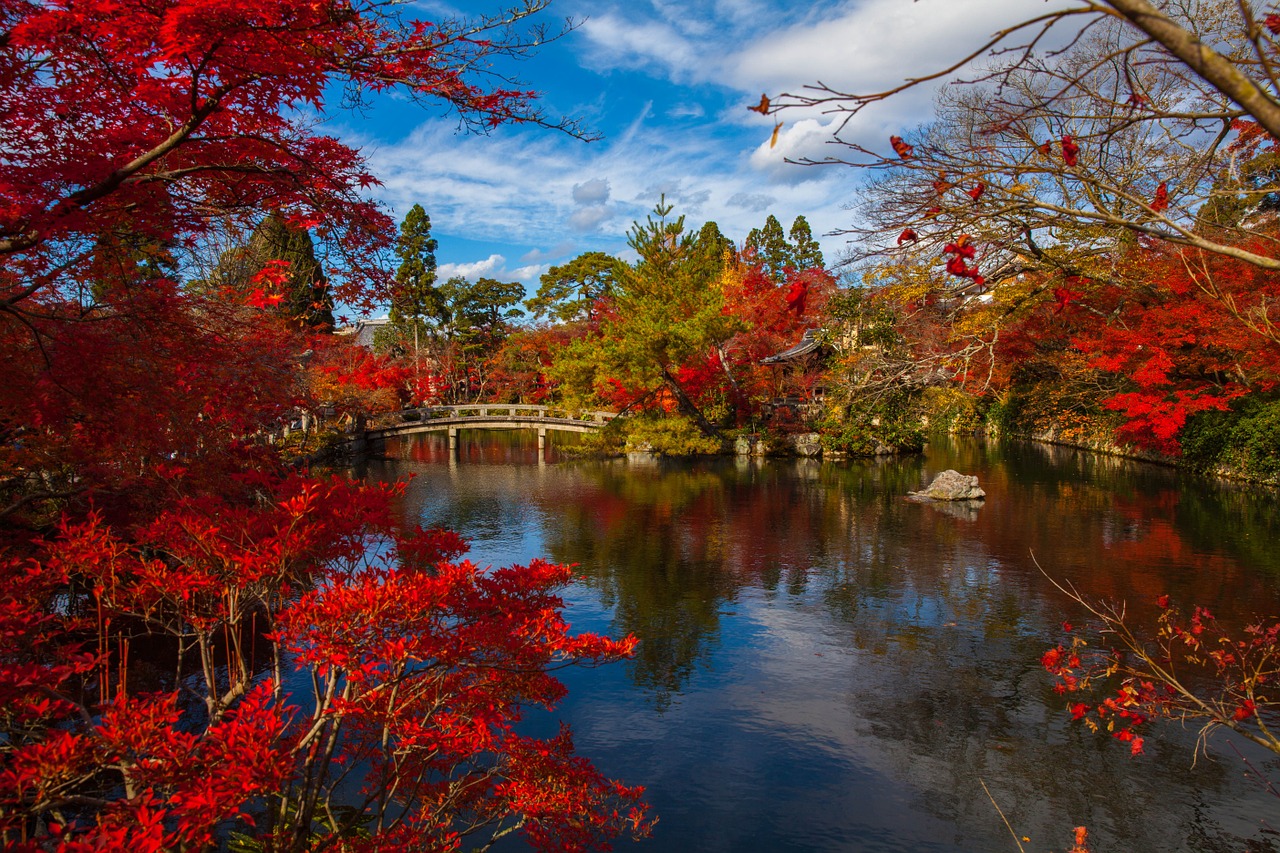 Traditional Japanese Fall