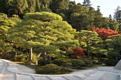 Magic Japanese garden, Kyoto Silver pavilion (Ginkaku-ji) in Kyoto, Japan