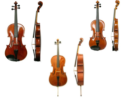 string instrument examples including violin, viola, and cello