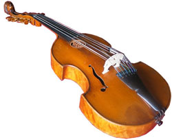 viola