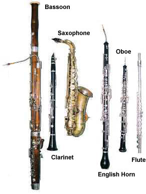 Various woodwind instruments