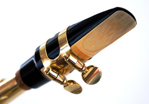 saxophone reed mouthpiece Creative Commons
https://pixabay.com/en/saxophone-reed-mouthpiece-music-1479740/