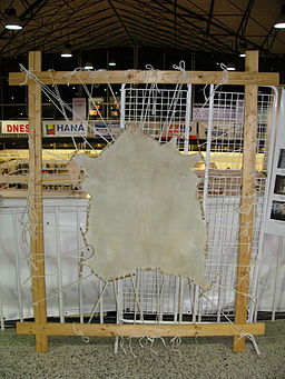 Goat Skin