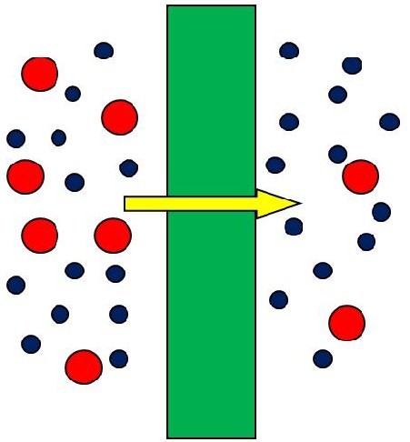Membrane Schematic