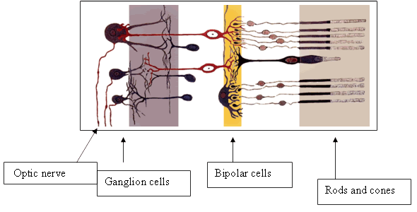 transduction