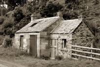 picture of house surrounded by foliage