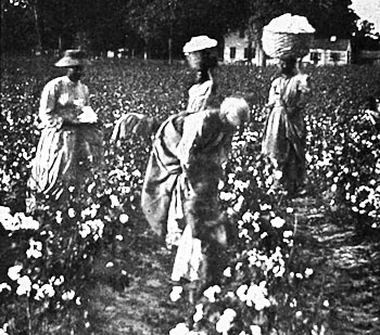 African American slaves