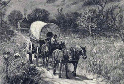 Covered Wagon