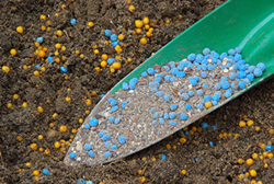 Mineral fertilizer