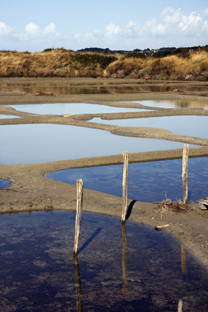 The salt marshes of Marais Guerande, Brittany, Northern France.