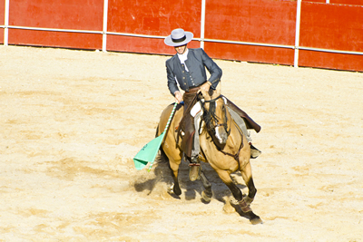 MADRID, SPAIN - SEPTEMBER 10: bullfighter on horseback, bullfight. September 10, 2010 in Madrid (Spain)