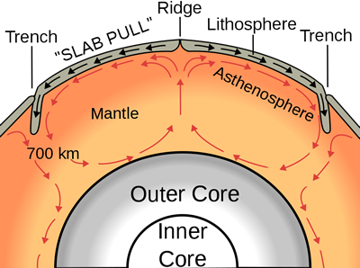 Shows how ocean ridges are formed, lithosphere subducted at trenches; good for understanding plate tectonics.