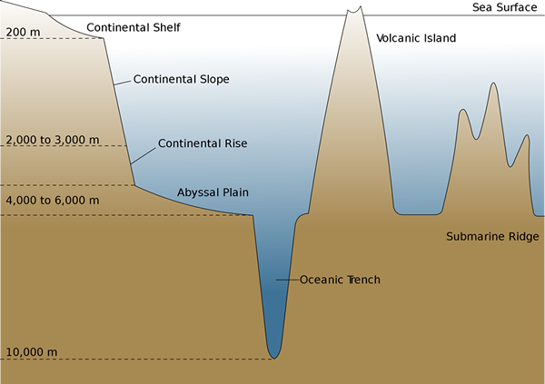 ocean floor topography cross section