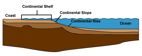 ocean floor topography cross section