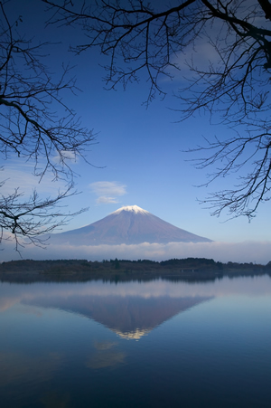 Mount Fuji reflected in Lake Motosu, Fuji-Hakone-Izu National Park, Honshu, Japan