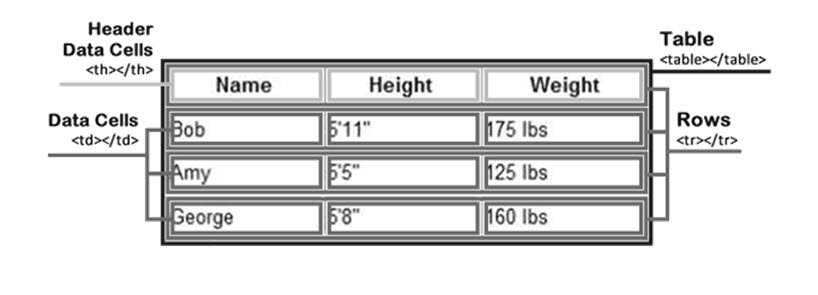 parts of a table, including header, data, and rows.