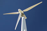 apes_windturbines_580x386
