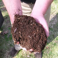 Compost Soil