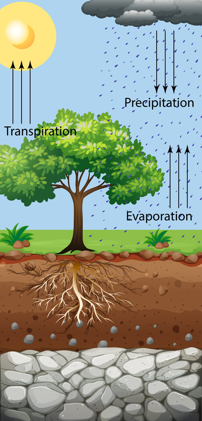 water processes